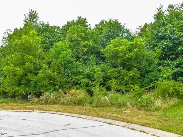 Rowland Ave NE, Canton, OH 44714