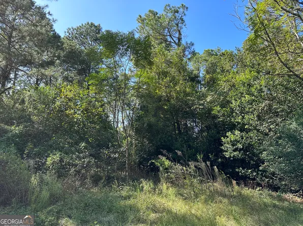 141 Wilson Woodard Rd, Eastman, GA 31023