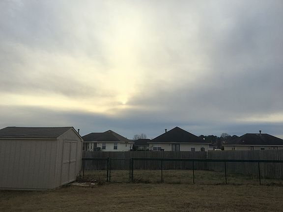 Shed and Backyard
