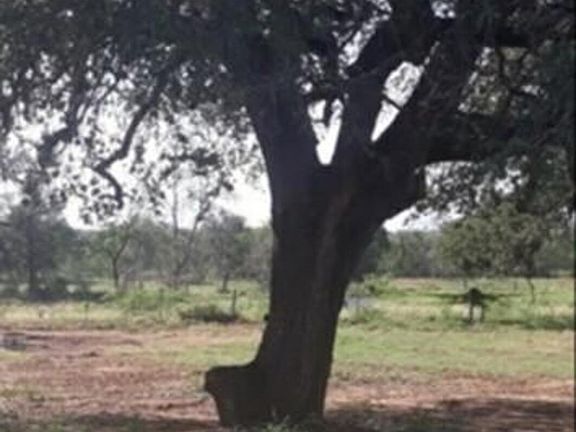 5th image of 277 Nob LOT 9