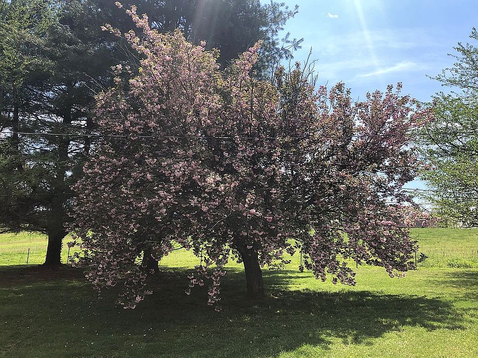 829 Shirley Loop, Whitwell, TN 37397 Zillow