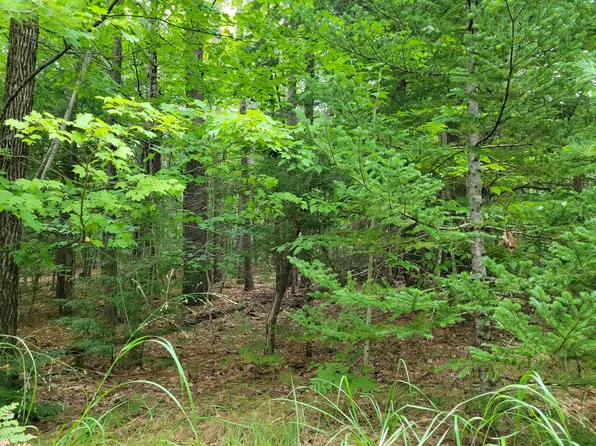 20B Smith Road, Denmark, ME 04022