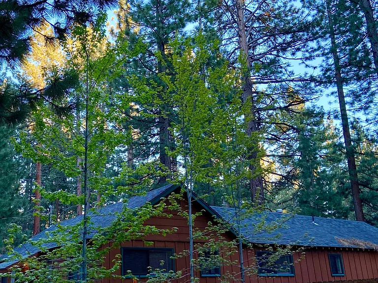 Street view House