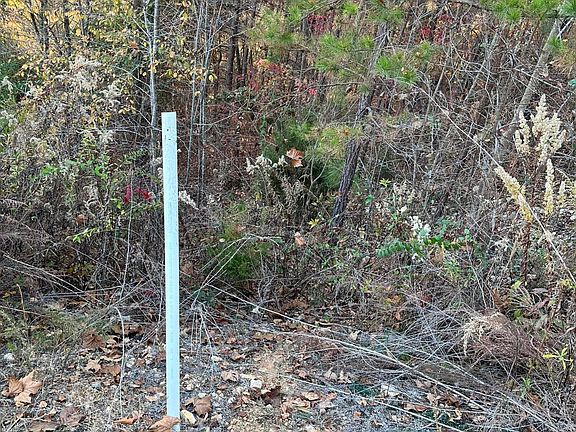 4th image of 931 Eagle Nest Dr
