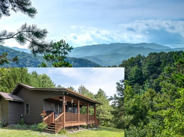 466 Zekes Trl, Marble, NC 28905