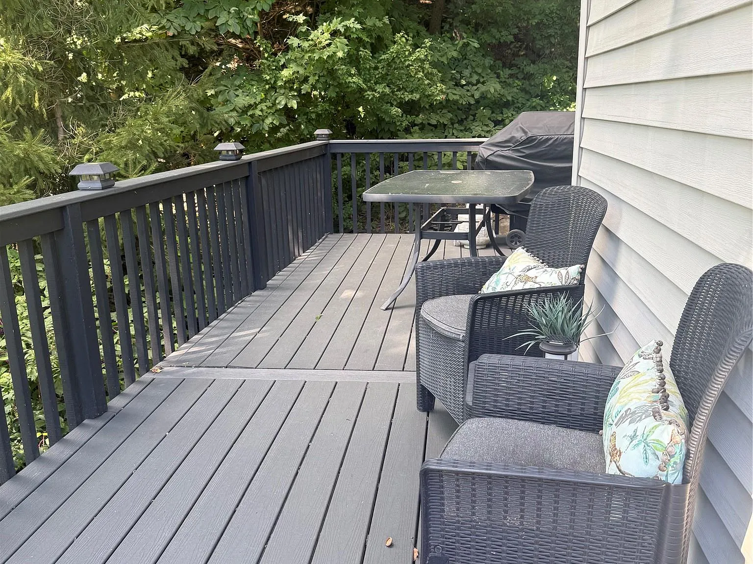 2 bed, 1.0 bath, 784 sqft, $2,800 — Photo 4