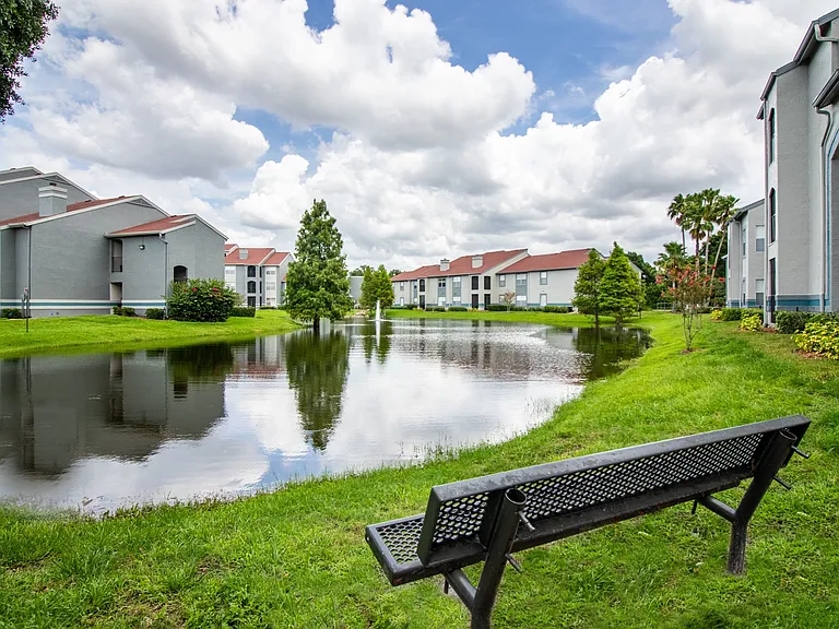 Beautiful Lake View