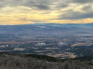 3 W Elks View Dr, Cedaredge, CO 81413