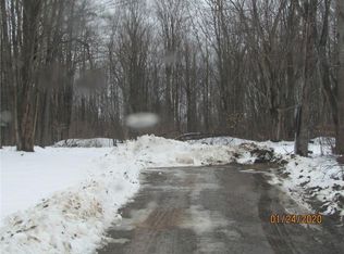 7273 Hall Rd, Cassadaga, NY 14718