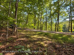 250 Turn A Bout Ct, Waynesville, NC 28785