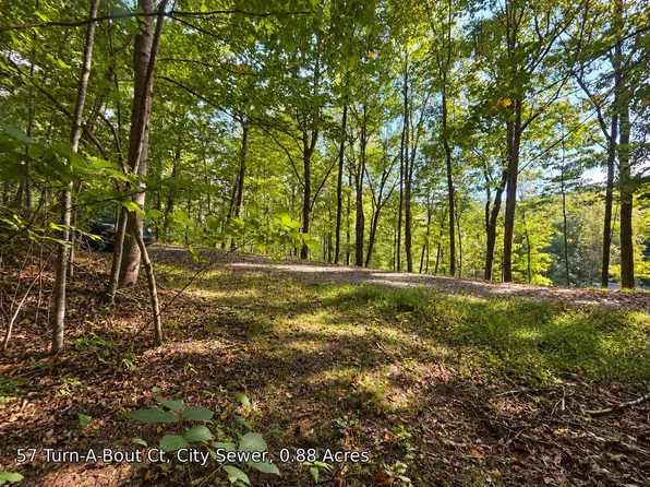 250 Turn A Bout Ct, Waynesville, NC 28785