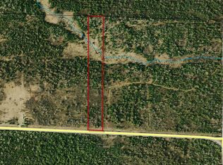 Black Point Rd, Moran, MI 49760