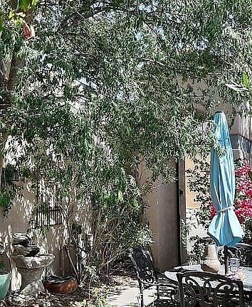 Shaded, quiet courtyard