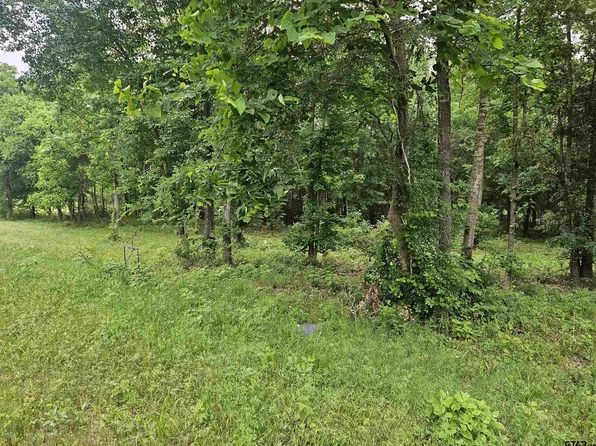 22409 W Fm 838, Overton, TX 75684