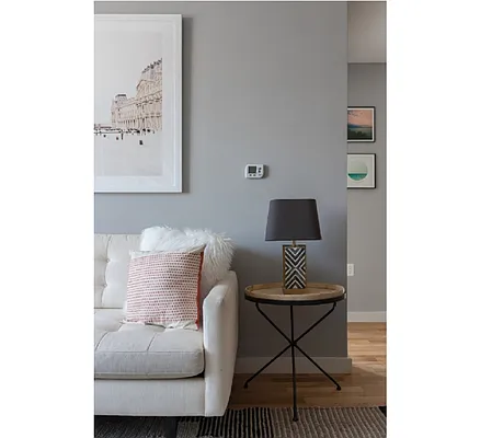 Rented by MNS | media 20