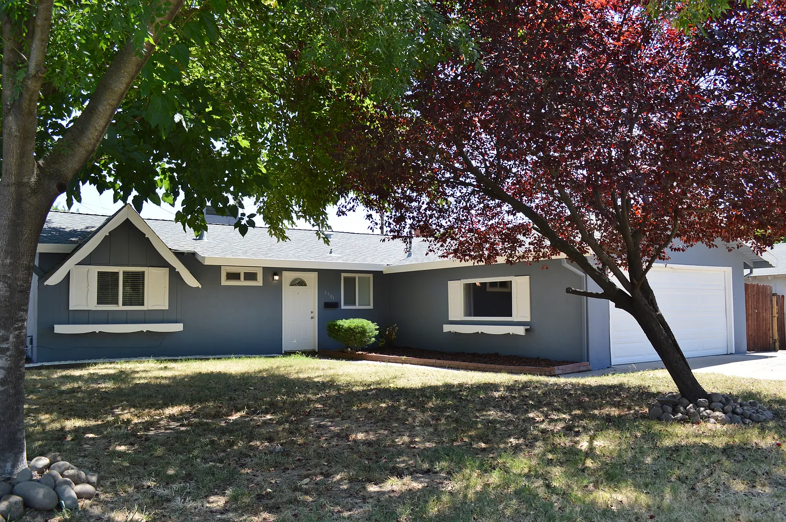6901 Treelark Way photo 1