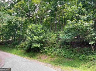 10 Mountain Dr N, Hiawassee, GA 30546