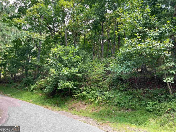 10 Mountain Dr N, Hiawassee, GA 30546