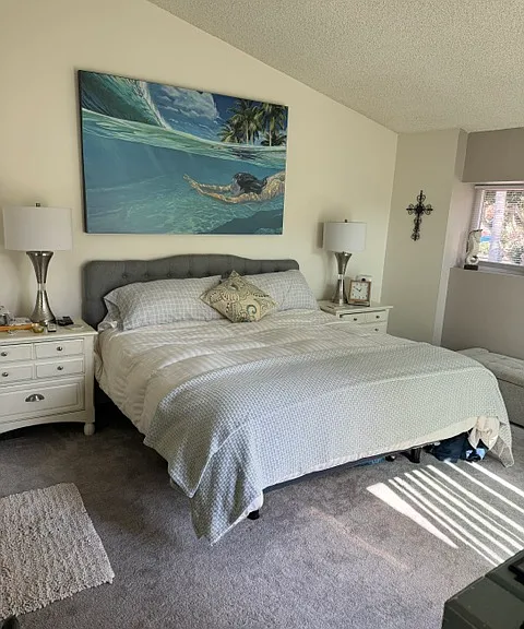 Las Palomas Dr — Photo 9