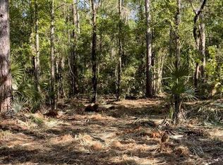 127 River Shores Rd, Green Cove Springs, FL 32177