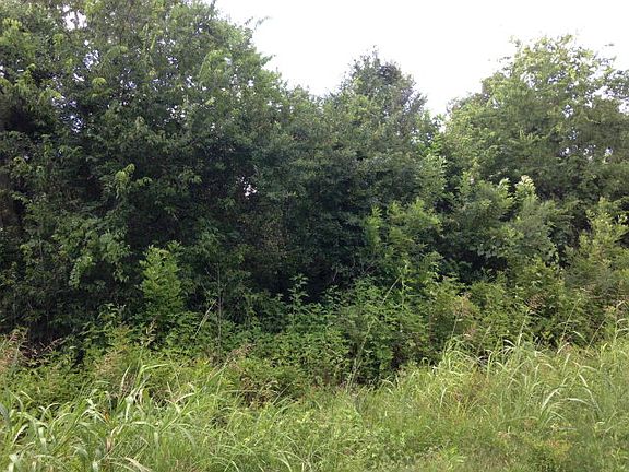 2nd image of 18155 County Road 319