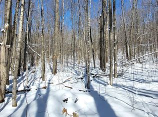 Oslund Rd, Bellaire, MI 49615