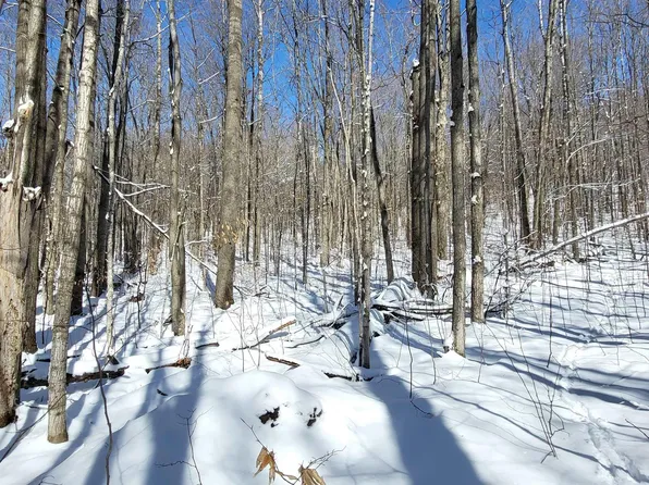 Oslund Rd, Bellaire, MI 49615