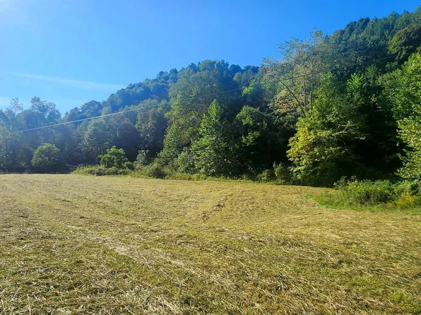 Big Run Rd, Mannington, WV 26582