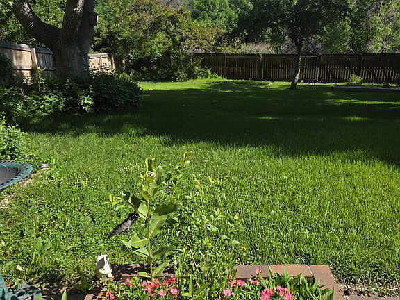 Backyard outside your apartment. You also have a large patio.