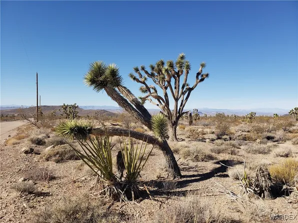 8655 W Michaley Dr, White Hills, AZ 86445