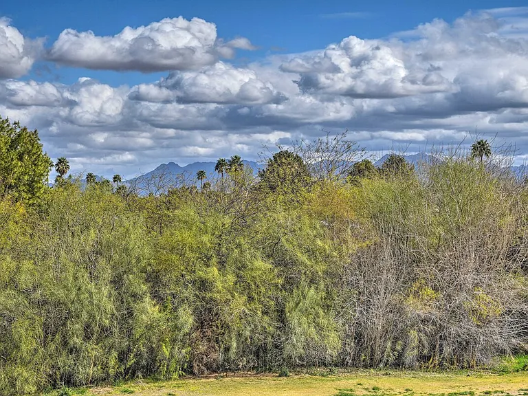Window View