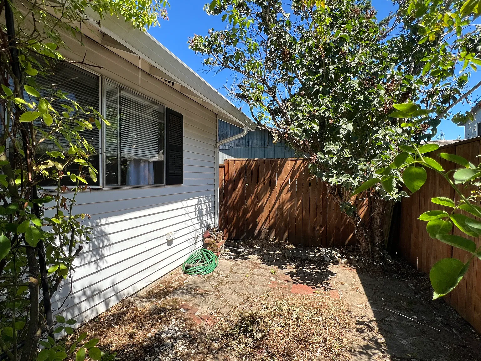 2 bed, 780 sqft, $1,595 — Photo 3