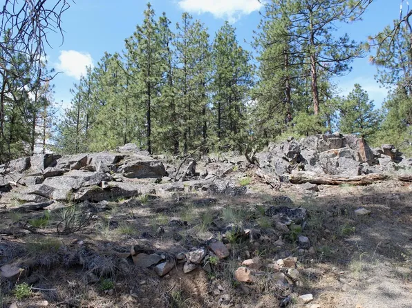 Pine Forest Sontag Ridge Ln #2, Davenport, WA 99122