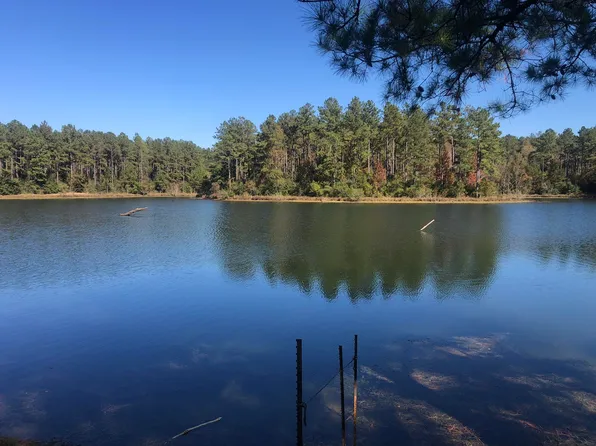 5 Bilbo Rd, Lumberton, MS 39455