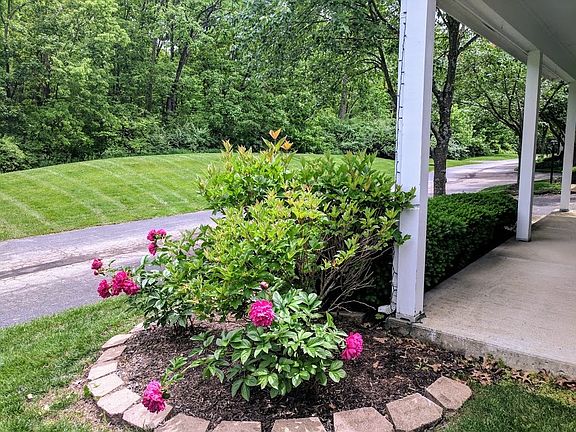 Looking from front porch to wooded area across the driveway.