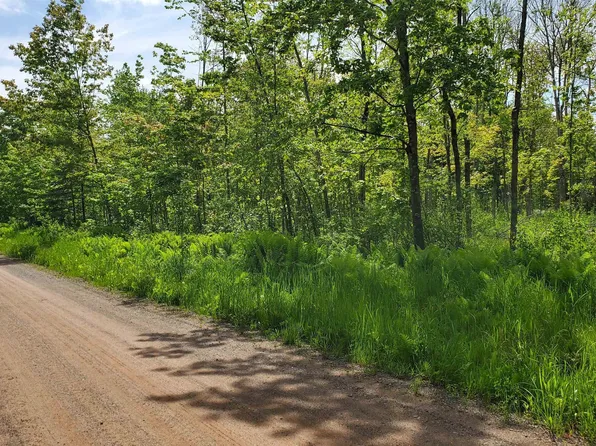 85 Clover Cemetary Rd, Herbster, WI 54844