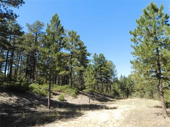 2380 Wood Sorrel Road, Larkspur, CO 80118