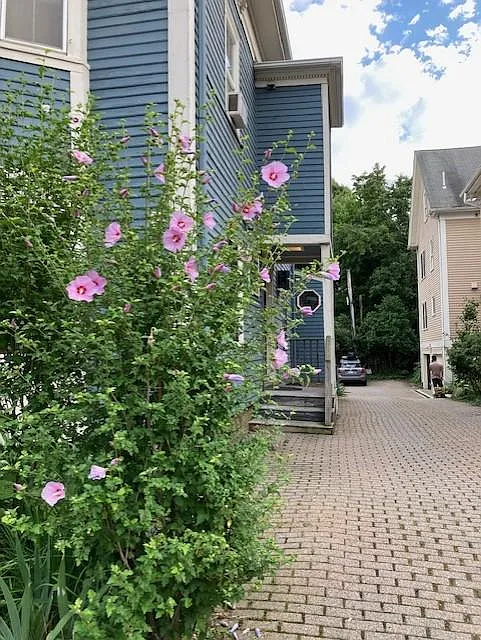 28 Mount Auburn St #1