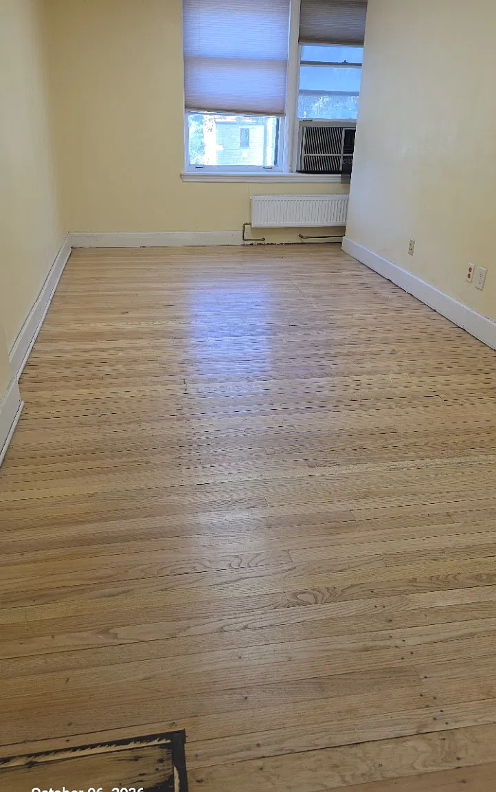 4 bed, 800 sqft, $1,500 — Photo 3