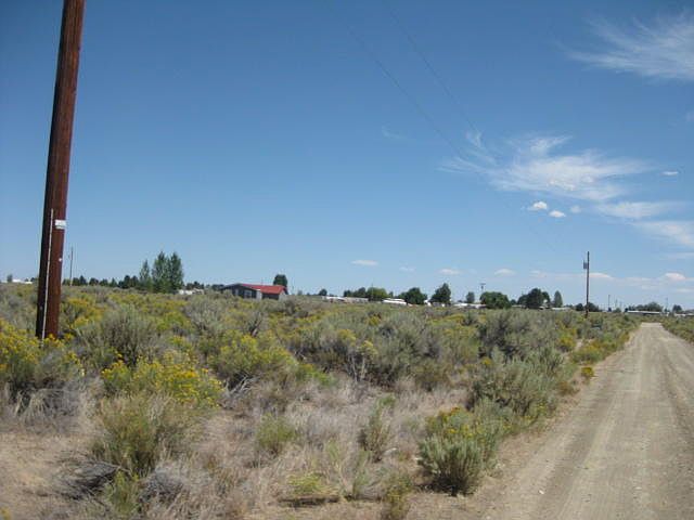 2nd image of Tl 4600 Willow