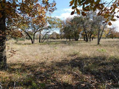 TBD Encino Way LOT 4, Natalia, TX, 78059