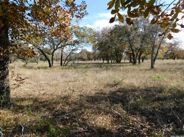 TBD Encino Way LOT 4, Natalia, TX 78059
