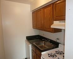 5th image of 1198 Royal Glen Dr APT 334