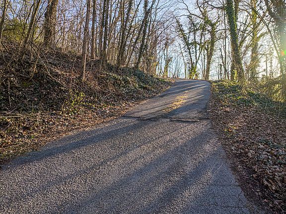 3rd image of 358 Gravely Rd