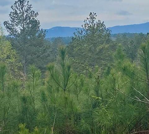 3rd image of LOT 29 Windward Ln