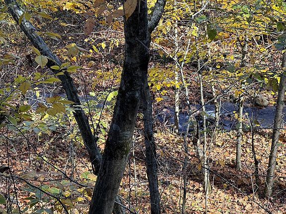 5th image of 815 White Oak Creek Rd