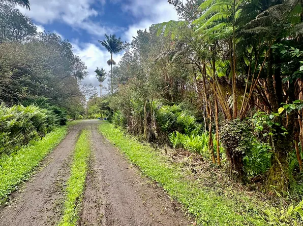 18-2011 Pomaikai St Lot 677, Volcano, HI 96785