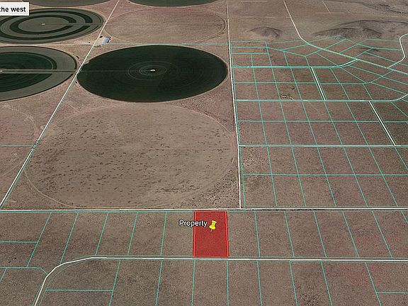 2nd image of Marigold Cir