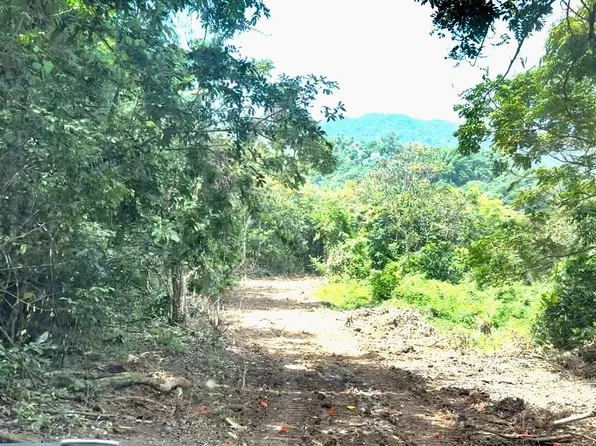 Bo Vegas Sector, Cayey, PR 00736