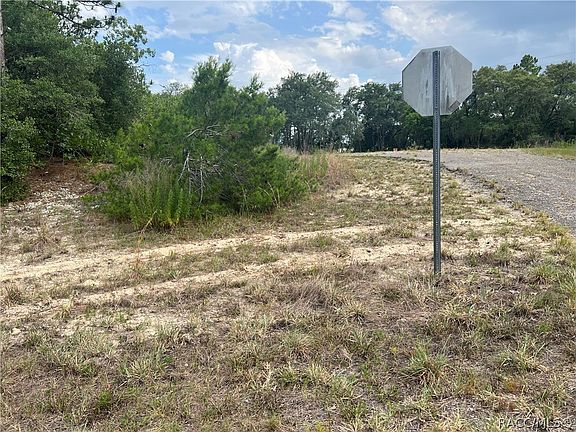 5th image of 6897 N Lime Dr